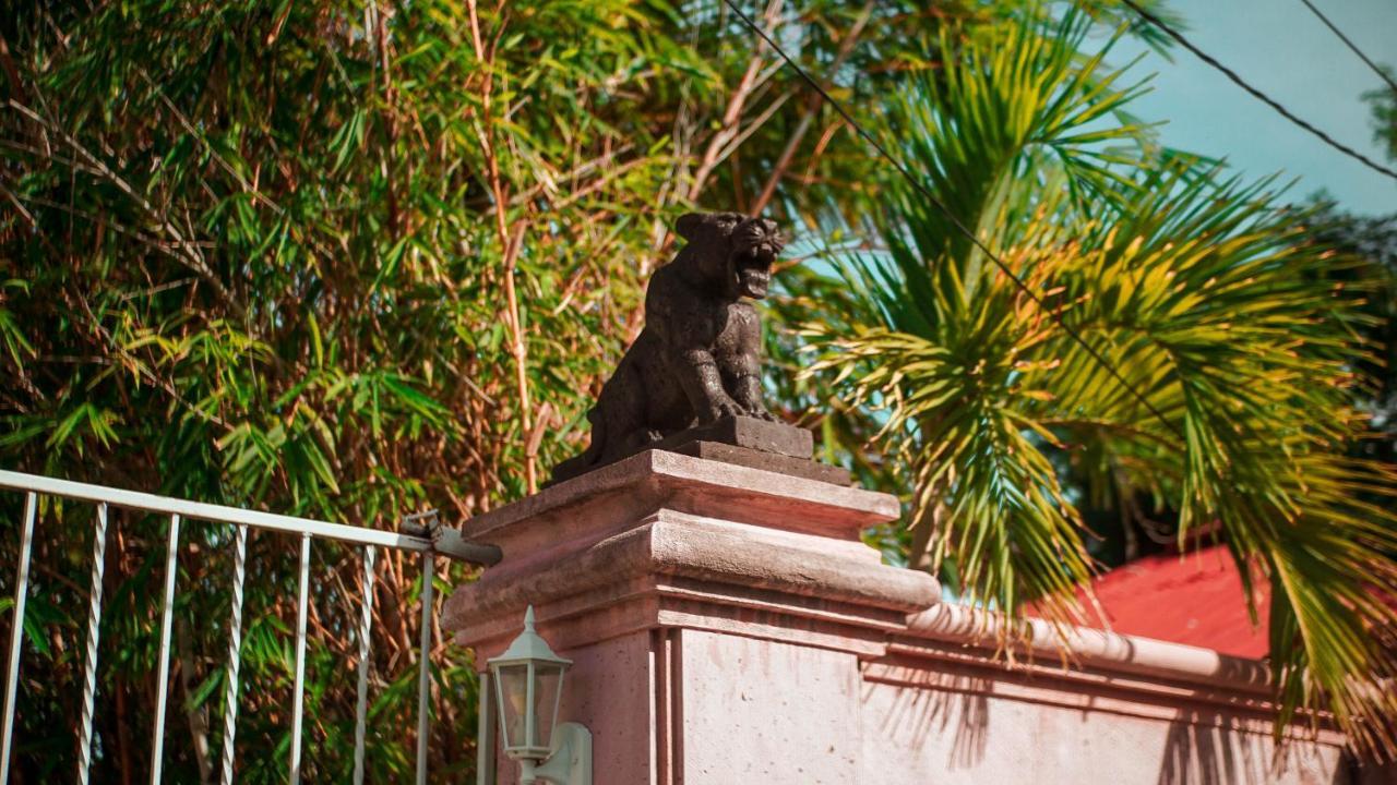 Villa Los Aguiluchos Chetumal Exteriér fotografie